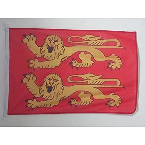 AZ FLAG - Drapeau Basse-Normandie - 45x30 cm - Pavillon Nautique Bas-Normand - France Spécial Bateau Et Extérieur En Maille Bloquée Avec Anneaux Plastiques...