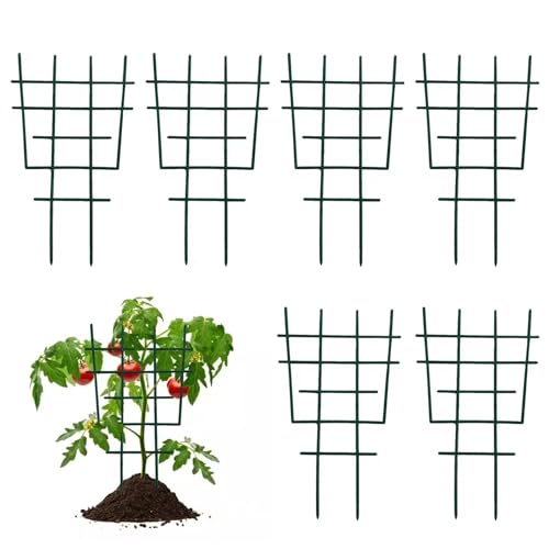DAGLLGEW Trellis für Kletteranlagen Unterstützung 6PCS PP Form...