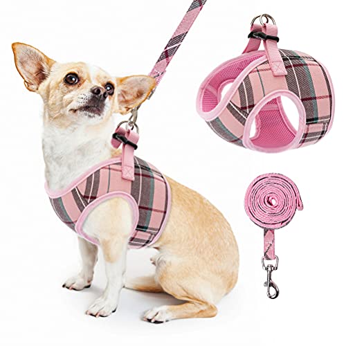 Soft Mesh Small Dog Harness with Leash - Basic Plaid Padded Chest Vest for Kitties, Puppy, Small Pets
