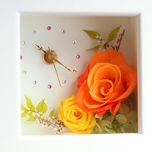 Azurosa(AY[U) vU[uht[ t[  v Ԃ̎v Mtg LfB[[Y o AWTC }S[