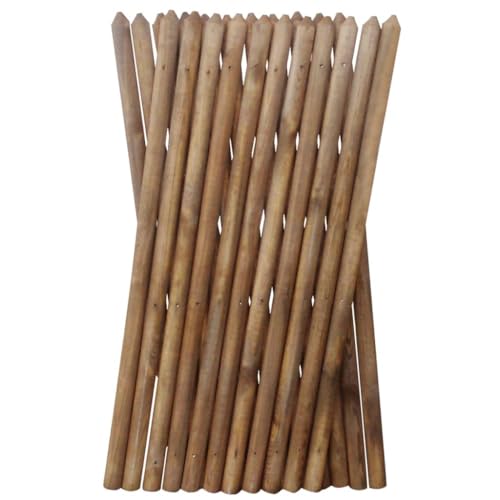 VidaXL Legno Pino Recinzione con Traliccio