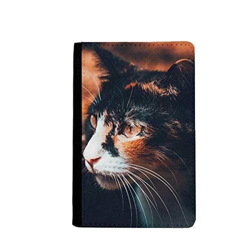 Porte-passeport chat marron pour vos vacances et formalités de voyage à l'aéroport