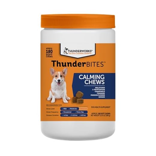 ThunderWunders Dog Calming Chews | Thiamine, L-Tryptophan, Melatonin and Ginger | Can Help Relieve Stress from Separation, Storms, Fireworks & Travel (180 Count)