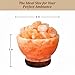 POHS Himalayan Pink Salt Fire Bowl Lamp with Salt Crystal Chunks, dimmable Switch Electrical Cord, with Replaceable Bulbs, Premium Wood Base