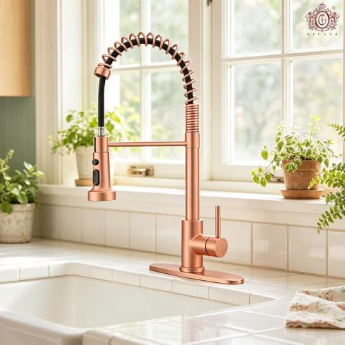 Image of Kitchen Faucet