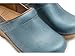 Dansko Professional Slip-On Clogs for Women - Rocker Sole and Arch Support for Comfort - Ideal for Long Standing Professionals - Healthcare Professionals Blue Metallic 8.5-9 M US