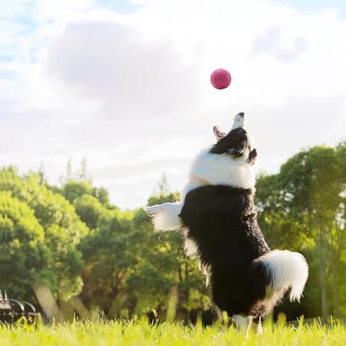Magicorange Tennisbälle, 20 Stück, fortgeschrittene Trainings-Tennisbälle, Übungsbälle, Haustier-Hund-Spielbälle, kommen mit Netztasche für einfachen Transport (Rosa)