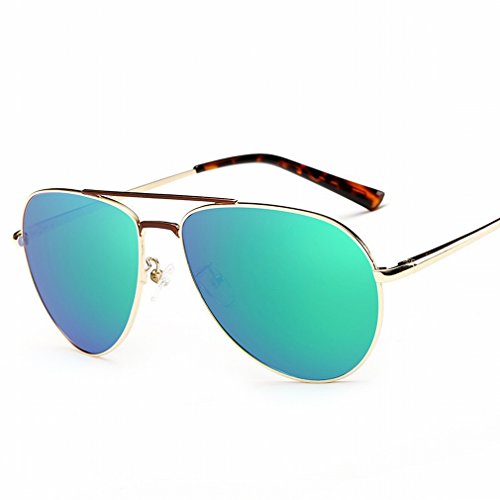 Lunettes de soleil YL pour adulte modèle C avec protection élégante