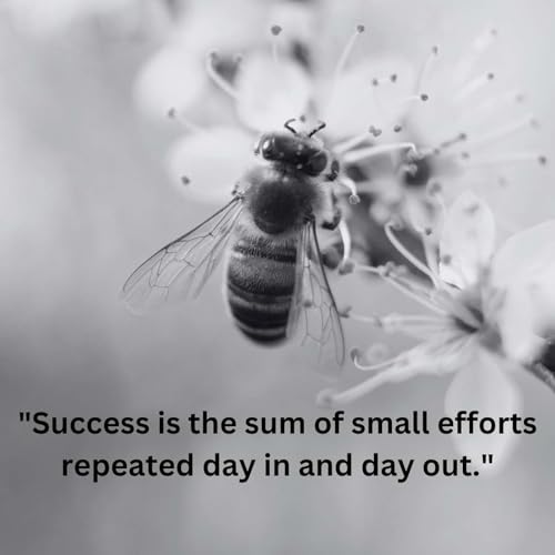 Episode 124: There Are No Shortcuts