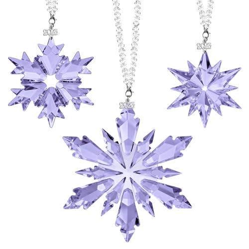 Lanpn 2025 Weihnachten Kristall Ornamente 3 STK, Jährliche...