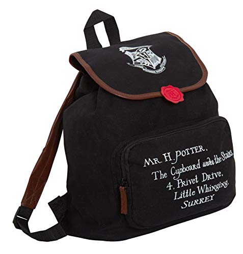 Harry Potter: Mochila grande para mujer  adolescentes  niños  adultos  Hogwarts