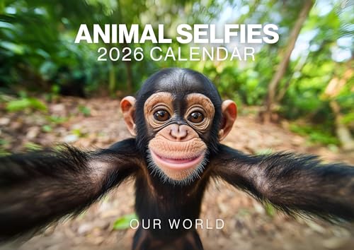 Animal Selfies 2026, Funny Animal Calendar 2026. Funny Wall Calendar 2026. Large 12 Month, Month to View with Notes & Checklist Pages, UK Made by Our World