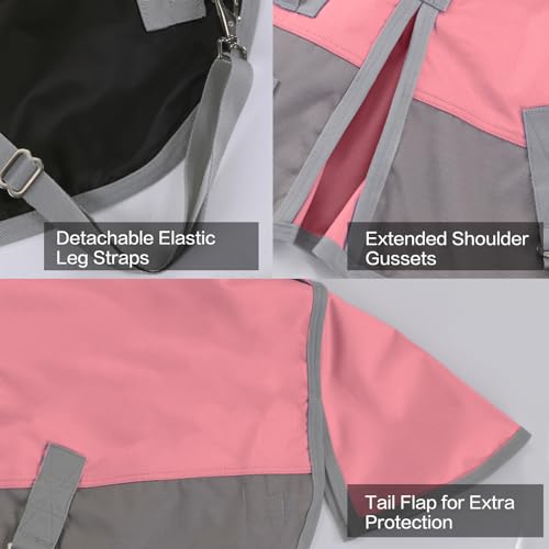 Image of 1200D Mini Horse /Pony Blanket 0g No-Fill Waterproof Turnout Sheet