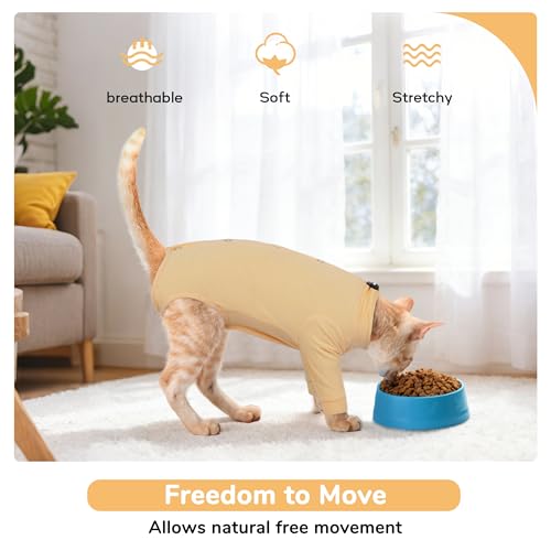 Combinaison chat convalescence chirurgicale orange S anti-léchage