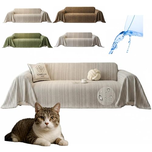 Lifetips AJC[wA American Wirehair \t@[Jo[ k  􂦂 h }`Jo[ 2l| 3l| It IȂ ~ Eh~ LΉ lGʗp iO[j i130180CMj