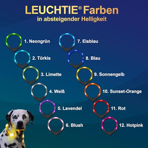 LEUCHTIE® Plus Leuchthalsband Hund batteriebetrieben, wasserdichtes LED Halsband, Hundehalsband Leuchtend mit 100 h Leuchtdauer, enorm hell, Lavendel Größe 35