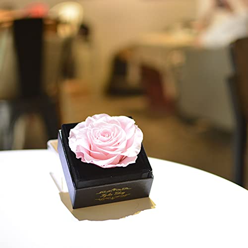 Kylin Glory Fresh Cut Flower Preserved Rose for Women Mom Wife Girlfriend - Flower Gift Real Rose Decor for Mother's Day Valentine's Day Wedding Party Celebration Birthday Anniversary (Pink)