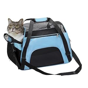 DONYER POWER Soft Sided Pet Carrier for Dogs & Cats Comfort Airline Approved Under Seat Travel Tote Bag, Travel Bag for Small Animals with Mesh Top and Sides,BLUE