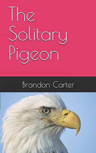 The Solitary Pigeon