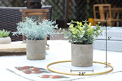 Miracliy Mini Potted Fake Plants Faux Artificial Eucalyptus Boxwood Rosemary Greenery In Gray Pots For Home Office Desk Bathroom Decoration Garden Decor, Indoor & Outdoor,Set Of 4 #TOP1