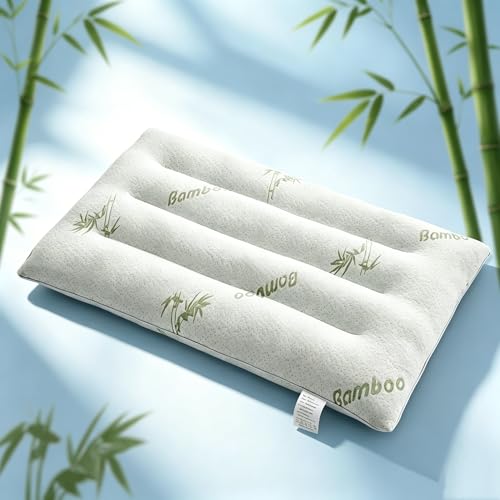 SWTMERRY Ultra Thin Pillows Flat Pillows for Sleeping Thin 7D High Support 2.5 inch Height Slim Bed Pillows for Stomach Sleeper Rayon Derived from Bamboo