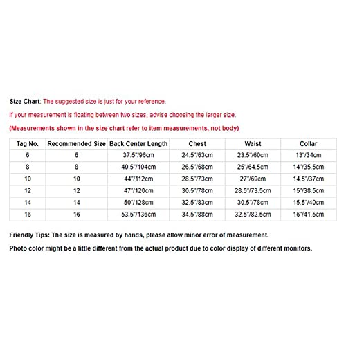 Ranrann Kids Girls V Neck Chiffon Flower Dress Romper Dress Special Occasions Maxi Dress Birthday Party Bridesmaid Gown Sky Blue E 12 #TOP4