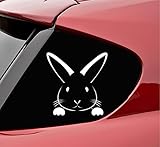 Slap-Art Peeking Bunny Rabbit Easter Vinyl Decal Sticker (White)