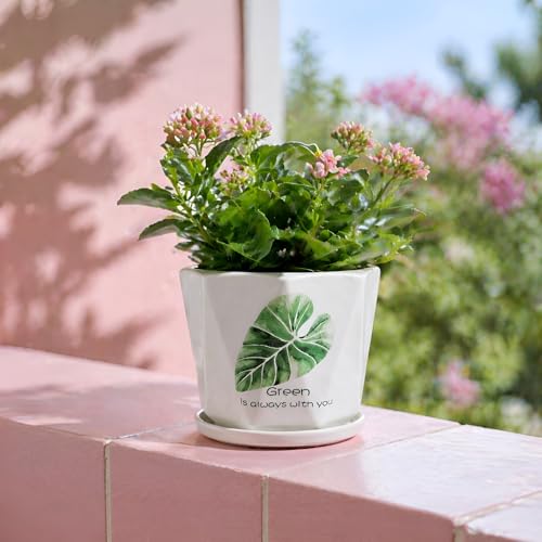 Image of Xtore Elegant Botanical Ceramic Planter with Drainage Tray | Minimalist Indoor Flower Pot for Home, Office Desk & Balcony Styling (White & Green Leaf Design -Planter only)