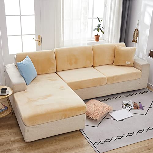 xxbg\t@Jo[ CNu[ NCjO`FAJo[ veN^[\t@ - ȒPtBbg Lk̂鐶n Xgb` @􂢉\ - \t@NbVJo[ n\t@`FAJo[ veN^[