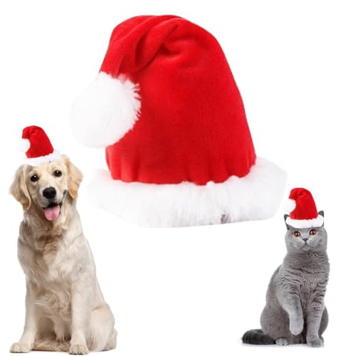 �N���X�}�X �y�b�g�� �R�X�`���[�� ���� �L �� �X�q ��蕨 �y�b�g �T���^ �X�q ���� �R�X�v�� �p�[�e�B�[ �ʐ^�B�e ���^�� ��^�� L