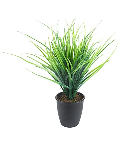 Image of Foliyaj Real Look Artificial Plant with Black Pot and Tall Green Grass for Interior Decor | Faux Plant for Desks, Shelves and Side Tables for Your Home and Office | Fake Plants for Indoor Decoration