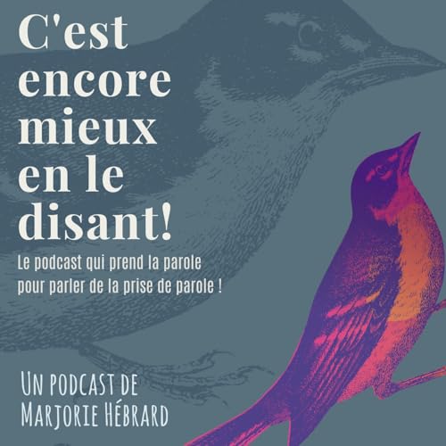 『C'est encore mieux en le disant !』のカバーアート