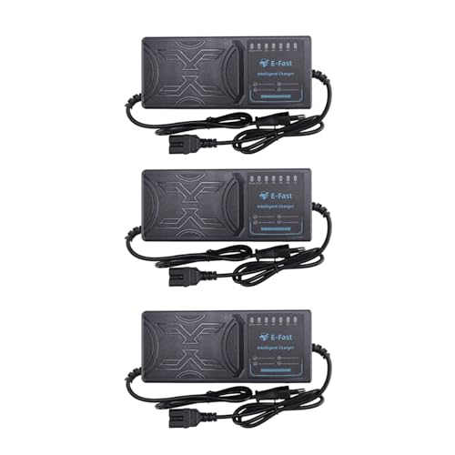 GNURBDILFO 3X Cargador de VehíCulo EléCtrico de 48 V y 20 Ah, Pantalla de 7 Luces, Pantalla de AlimentacióN, ProteccióN Fugas de Corriente/Pulso Completo, Enchufe de la UE