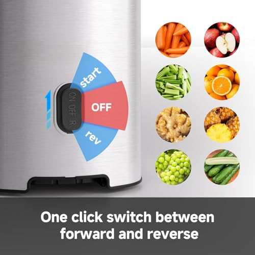 AMZCHEF Cold Juicer, Juicer Machines: 4.6 Inch Large Feed Hopper, Stainless Steel Slow Juicer, Large Auger, Double Strainers, Silver