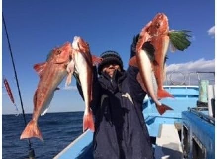 [釣り船乗船券]征海丸(1名様分) 乗船体験 体験 チケット