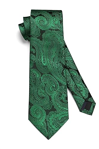 Image of HISDERN Ties for Men Paisley Floral Tie Handkerchief Classic Woven Business Formal Necktie and Pocket Square Set Wedding
