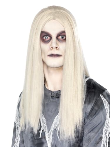 Perruque d'esprit fantomatique gris cheveux longs gris pour costume Halloween