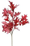 artplants