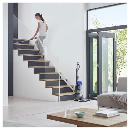 Image of Dyson Ball Animal 2 Plus Corded Vacuum