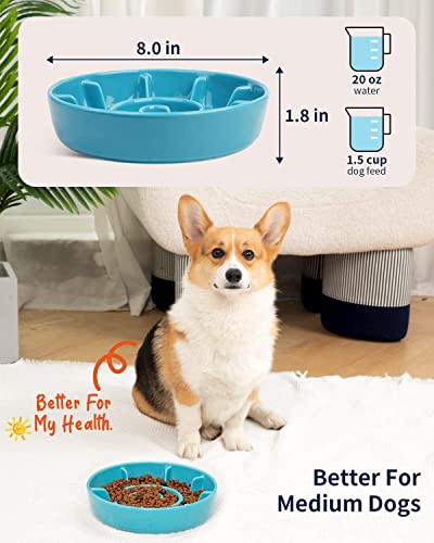 Kofpar Ceramic Slow Feeder Dog Bowl, Dog Bowl Slow Feeder Small Medium Large Breed, Anti-Gulping, Improve Pets Digestion, Healthy Eating Habit, Prevent Dogs From Overeating, Non-Slip Easy To Clean 8In #TOP4