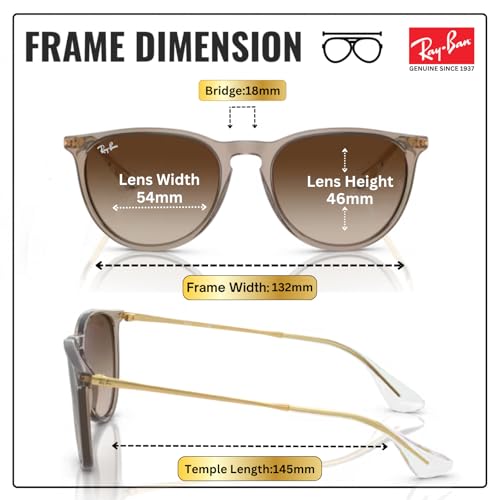 Image of Ray-Ban RB4171 ERIKA CLASSIC Phantos Shaped Sunglasses for Women with Official RAYBAN Eyewear Kit