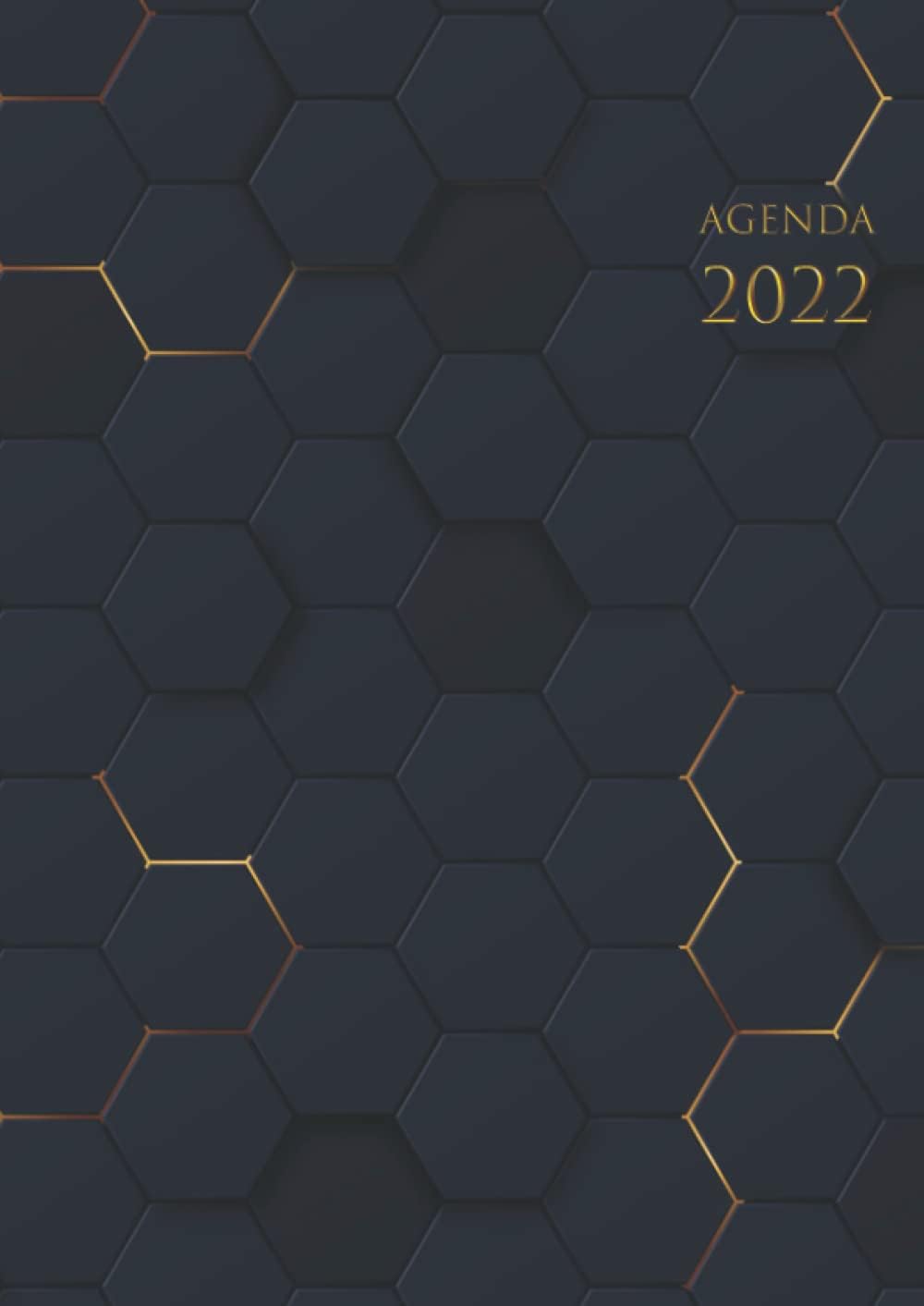 AGENDA 2022: Pianificatore settimanale A4 , Gennaio - Dicembre 2022 , Organizator mensile , Calendario, Diario ,12 mesi