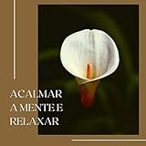  Sistemas de Sono Profundo