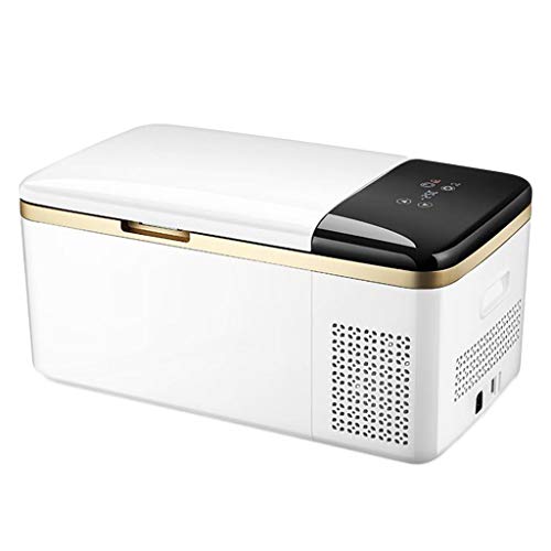 Autokühlschrank Mini Elektrischer tragbarer Kompressor Kühlbox Kühlschrank Gefrierschrank 12V / 24V ~ 220V für Reisen und Camping