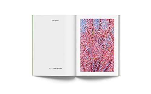 Damien Hirst: Cerisiers En Fleurs: Damien Hirst: Cherry Blossoms, French Edition