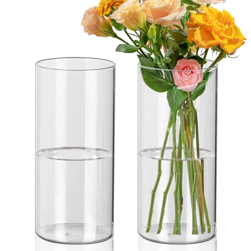 Fizdoqg Vase Cylindrique en Verre Transparent 20 cm pour Fleurs, Bougies, Galets, Décoration D'intérieur