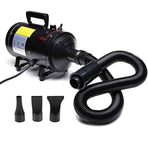 Secador de nieve para coche, camión, moto, 2020, potente soplador de 2800W de la fuerza aérea de aire para gatos, perros, mascotas, peluquería, fácil secador, bajo ruido