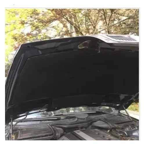 Coton d'isolation phonique BMW E39 pour des trajets silencieux - 4