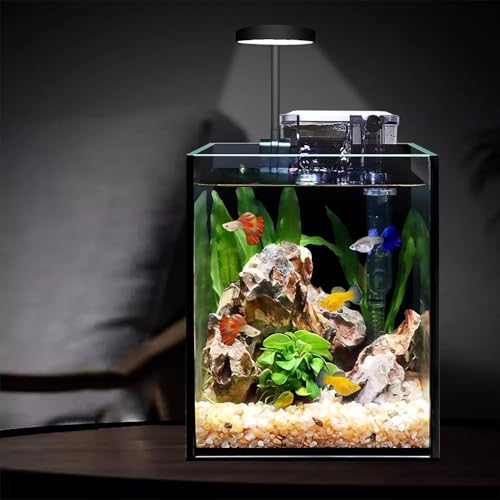 Filtro de ciclo 4L pequeno aquário de vidro para decoração de quarto de escritório, mini aquário, ul