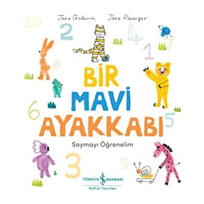Bir Mavi Ayakkabi